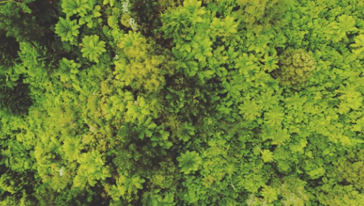 Tips to start live a more sustainable life