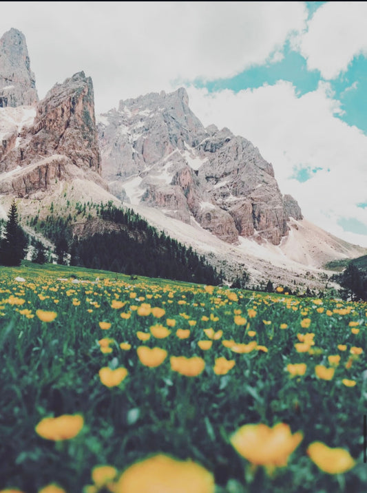 Why It Is So Important to Wear Non-Toxic Activewear such as Wellicious for Yoga and Sports