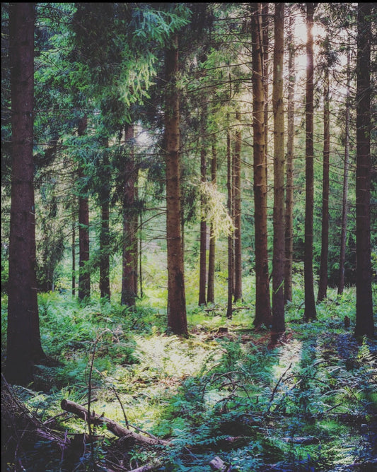 Wellicious is Cradle to Cradle Certified