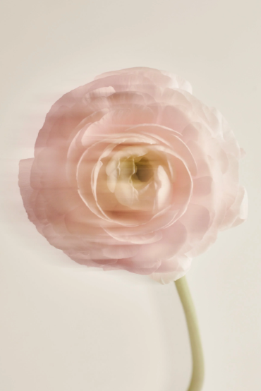 What Is Circular Fashion? A Complete Guide for Conscious Shoppers