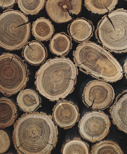 Celebrating Innovation: Wellicious Shortlisted for Drapers Conscious Award 2025!