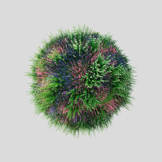 Wellicious – Trusted by letsflip.de