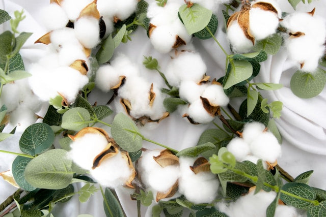 Why GOTS Certified Organic Cotton Matters — and Why We Use It at Wellicious