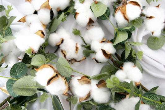 Why GOTS Certified Organic Cotton Matters — and Why We Use It at Wellicious