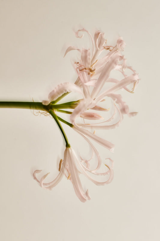 Why Non-Toxic Clothing Is the Next Big Wellness Trend